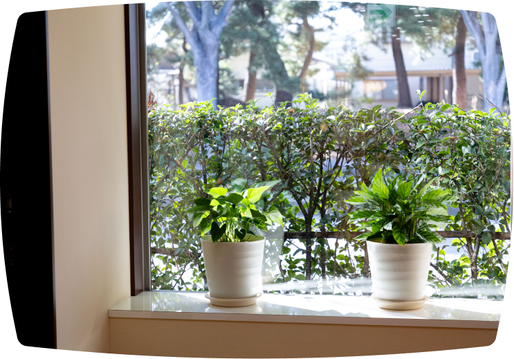 診断・治療方針のご説明