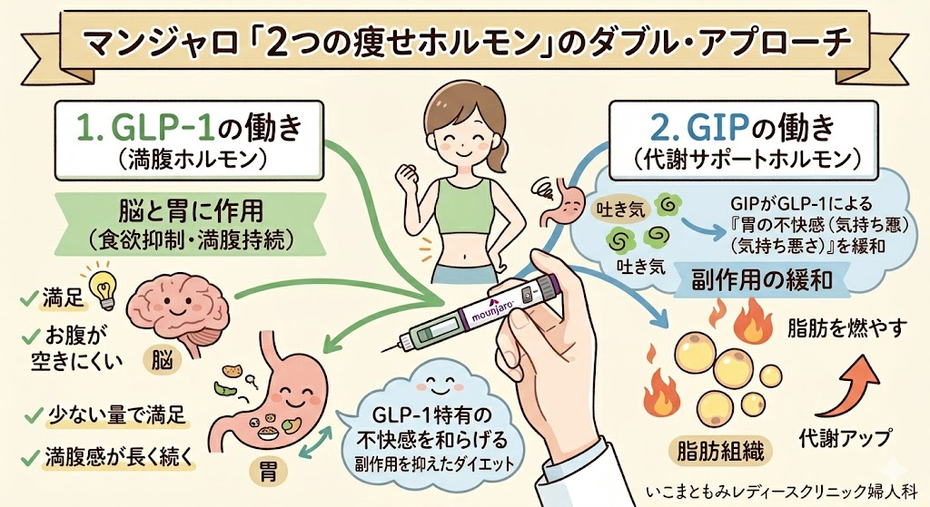 マンジャロで痩せる仕組み